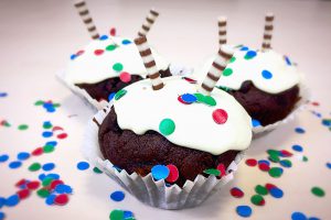 Förde Campus GmbH | Zweiter Geburtstag mit Muffins | Weiterbildung Kiel